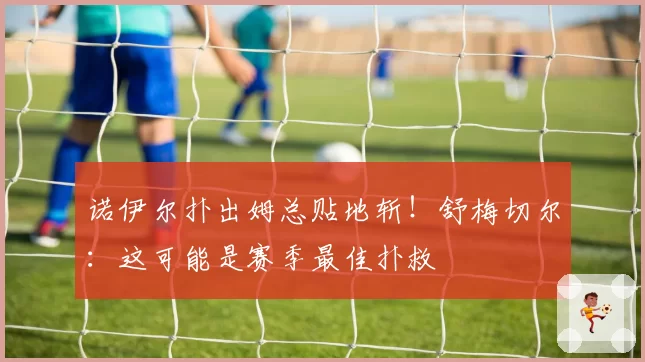 诺伊尔扑出姆总贴地斩！舒梅切尔：这可能是赛季最佳扑救