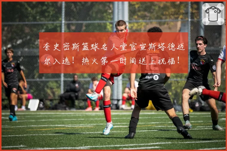 奈史密斯篮球名人堂官宣斯塔德迈尔入选！热火第一时间送上祝福！